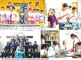 How do you perceive the role of private schools in India's education landscape?