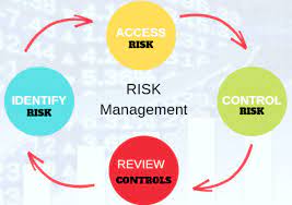 How do you assess the risk associated with your stock market investments?