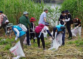 Do you actively participate in environmental conservation efforts in your community?