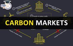 Do you have knowledge about the concept of a carbon market in India?