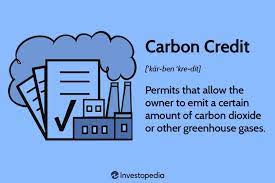 Should companies that exceed their carbon emissions limits be penalized in a carbon market?