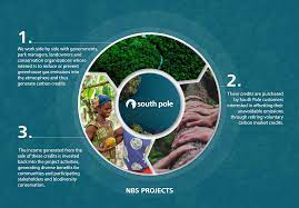 Should carbon market revenues be reinvested in environmental conservation and sustainability projects?