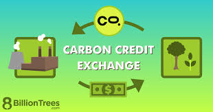 How should carbon market participants be verified for accurate carbon emissions reporting?