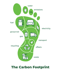 Would you be willing to participate in carbon offset programs to reduce your own carbon footprint?