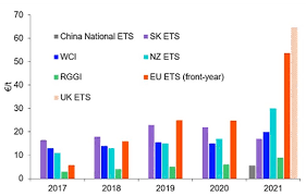 What level of transparency do you expect from companies participating in a carbon market?