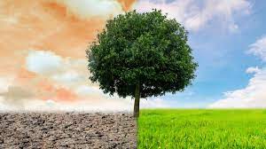 Do you think India's commitment to a carbon market aligns with its climate goals as outlined in international agreements?