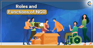 Which area do you think NGOs should focus on the most in India?