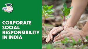 How satisfied are you with the overall effectiveness of NGOs and CSR initiatives in India?