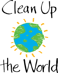 Have you ever taken part in a social or environmental cleanup campaign in your locality?